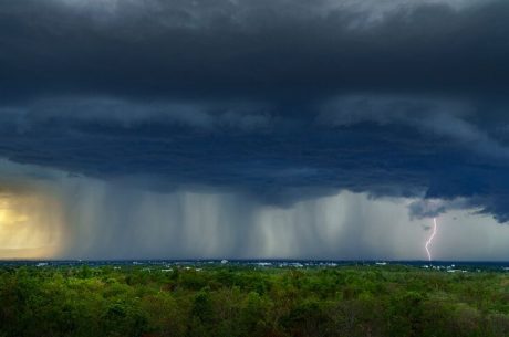 spring showers from a distance