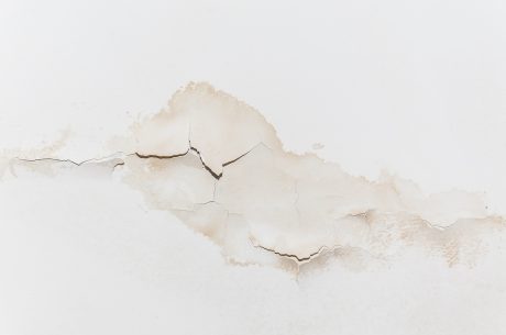 effects of water damage
