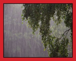 Heavy Rain Flooding Response for Greater Eastside Residents