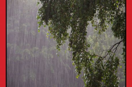 Heavy Rain Flooding Response for Greater Eastside Residents