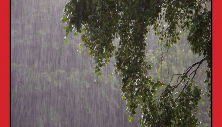 Heavy Rain Flooding Response for Greater Eastside Residents