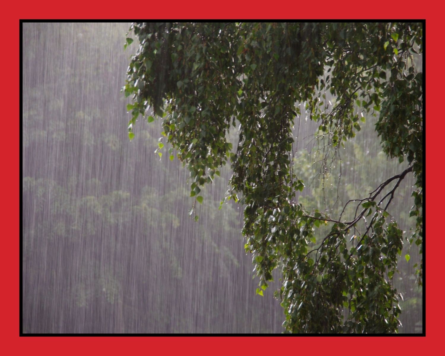 Heavy Rain Flooding Response for Greater Eastside Residents