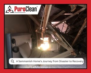 When Water Wins A Sammamish Home's Journey from Disaster to Recovery