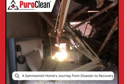 When Water Wins A Sammamish Home's Journey from Disaster to Recovery