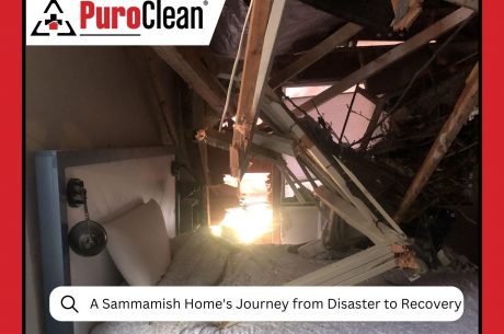 When Water Wins A Sammamish Home's Journey from Disaster to Recovery