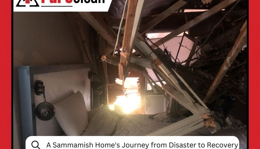 When Water Wins A Sammamish Home's Journey from Disaster to Recovery