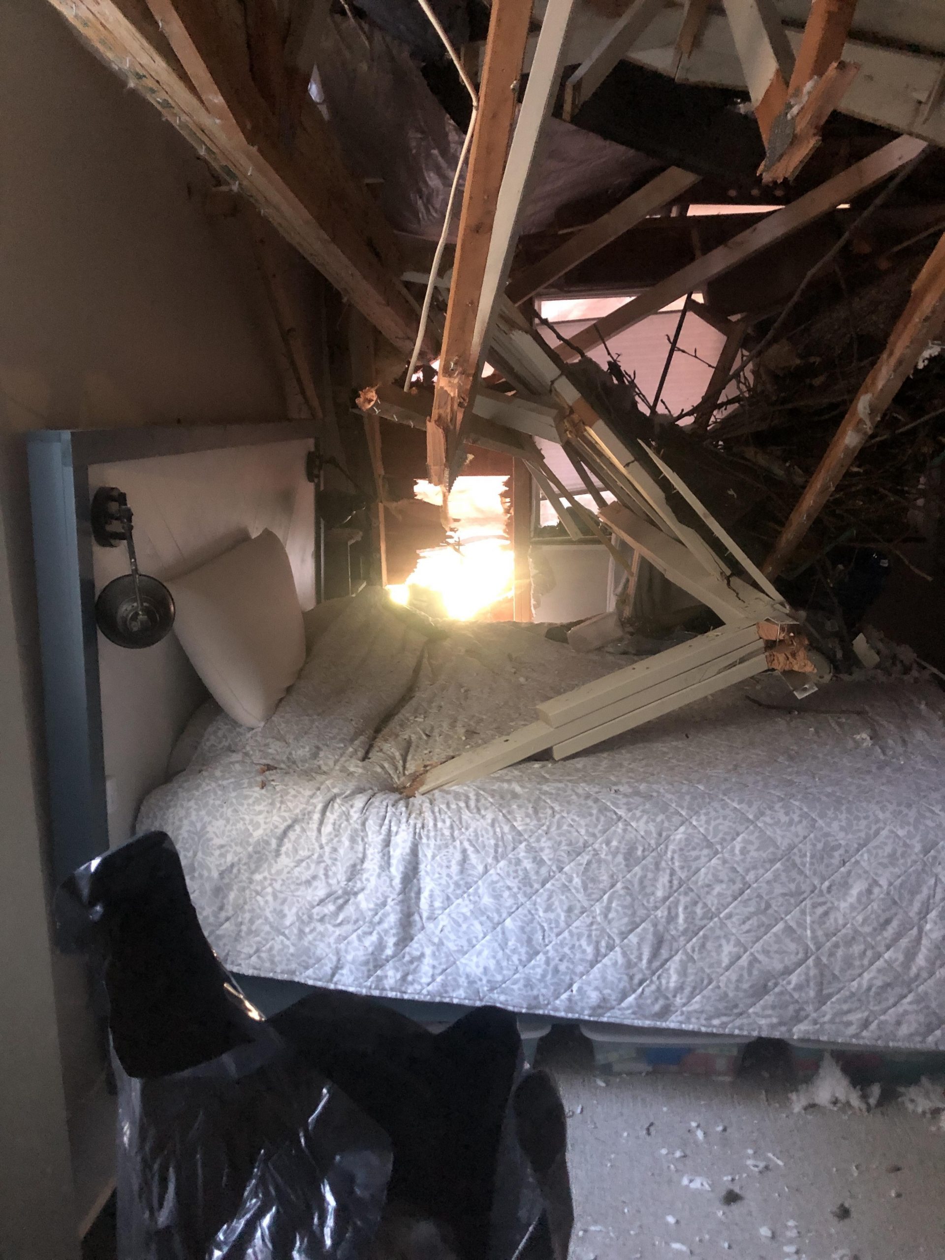 Professional restoration team at work