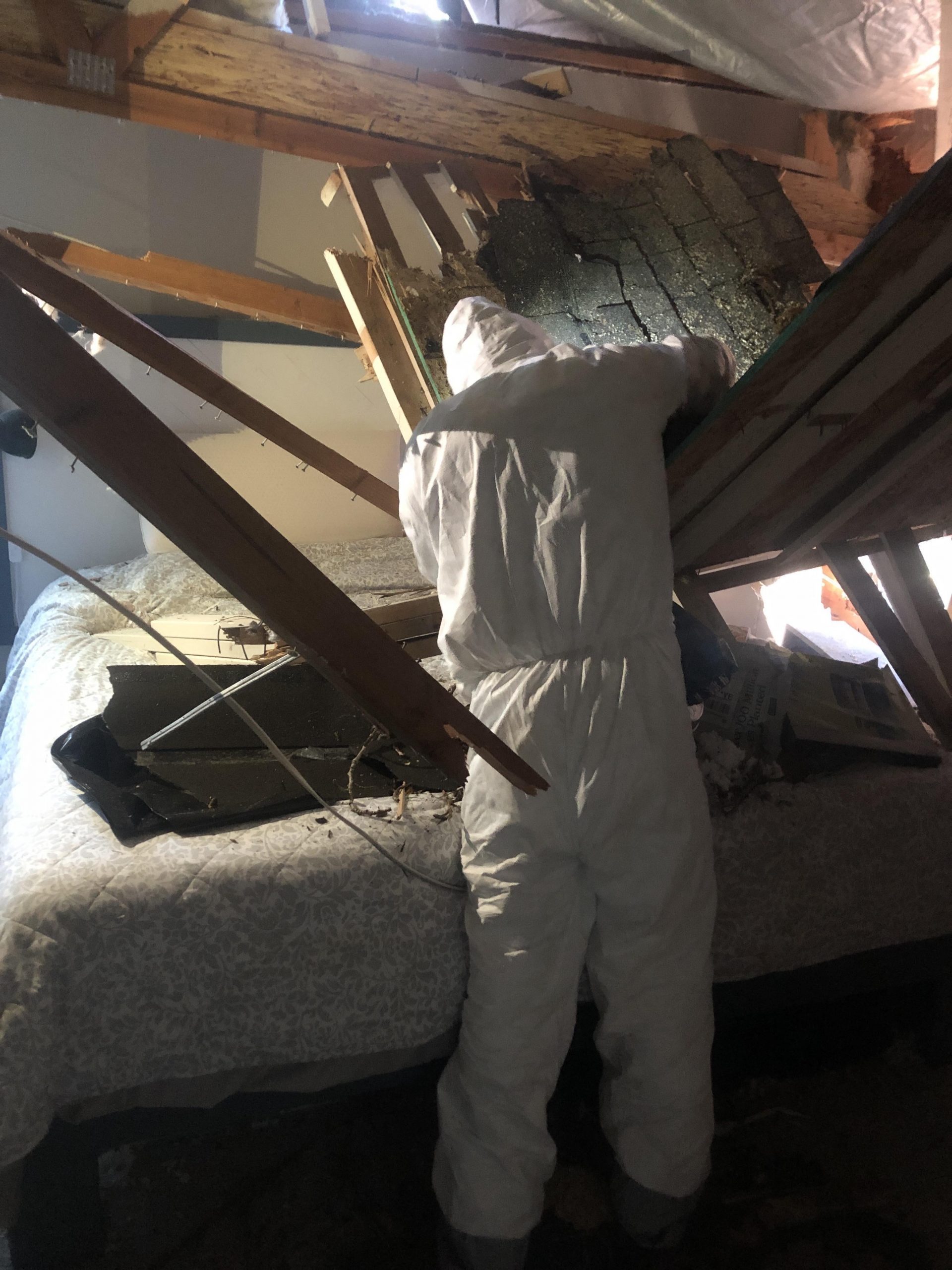 Professional drying equipment in basement