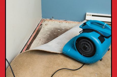 What Is Water Damage Restoration and Does Insurance Cover It