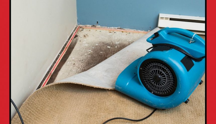 What Is Water Damage Restoration and Does Insurance Cover It