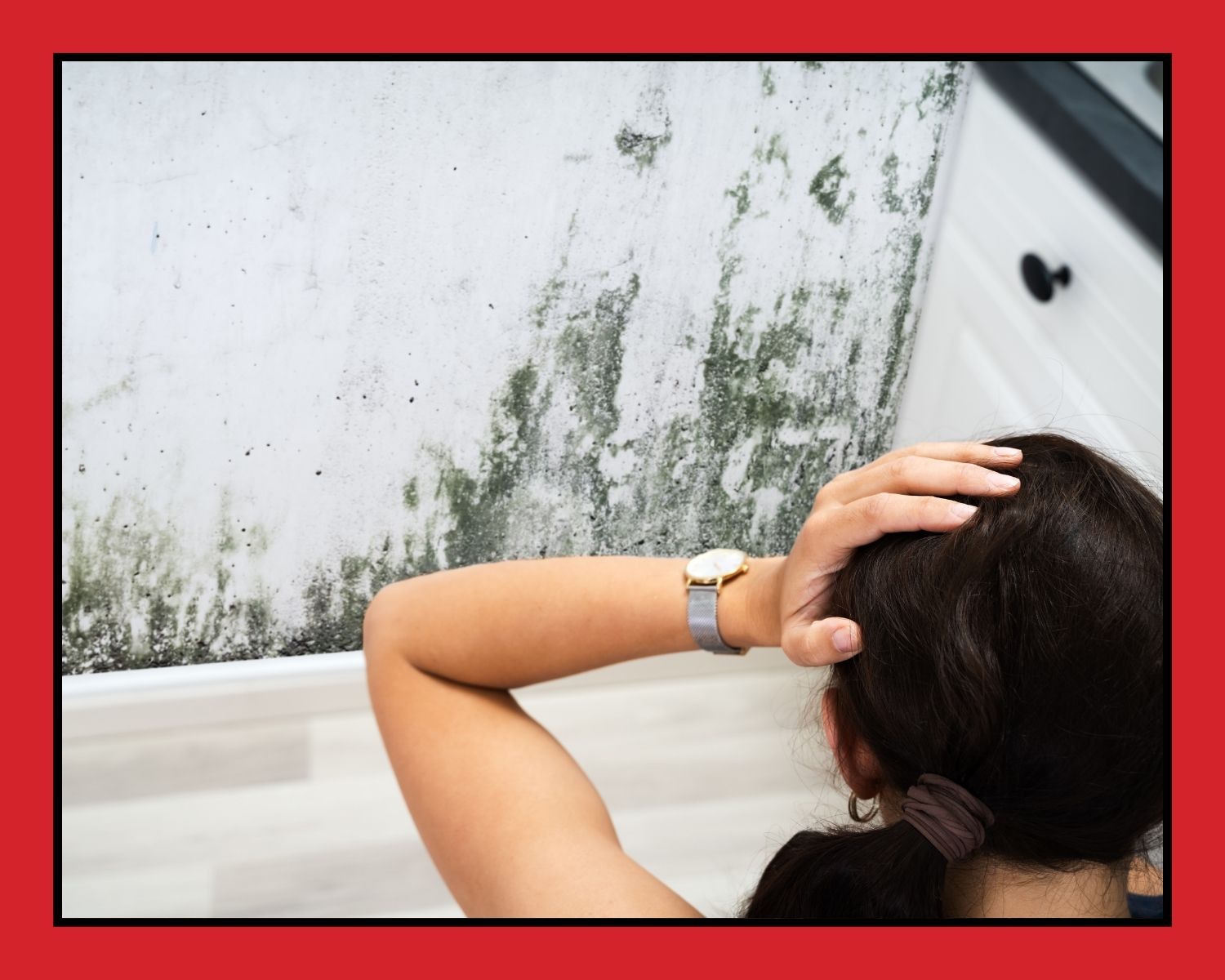 What to Do First After Discovering Mold in Your Home