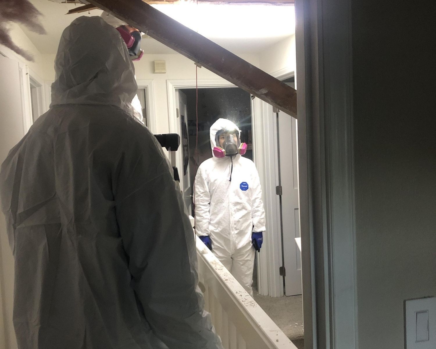 Professional mold remediation safety equipment