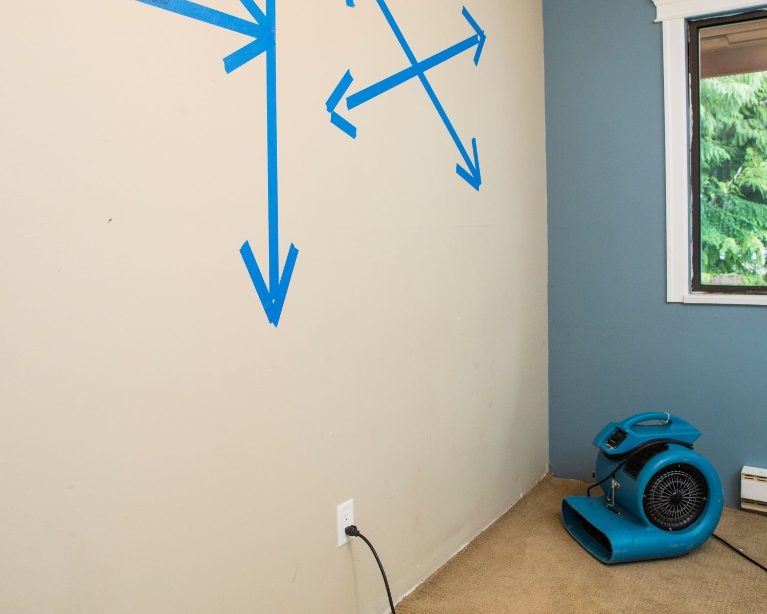 Professional water detection and drying equipment in use