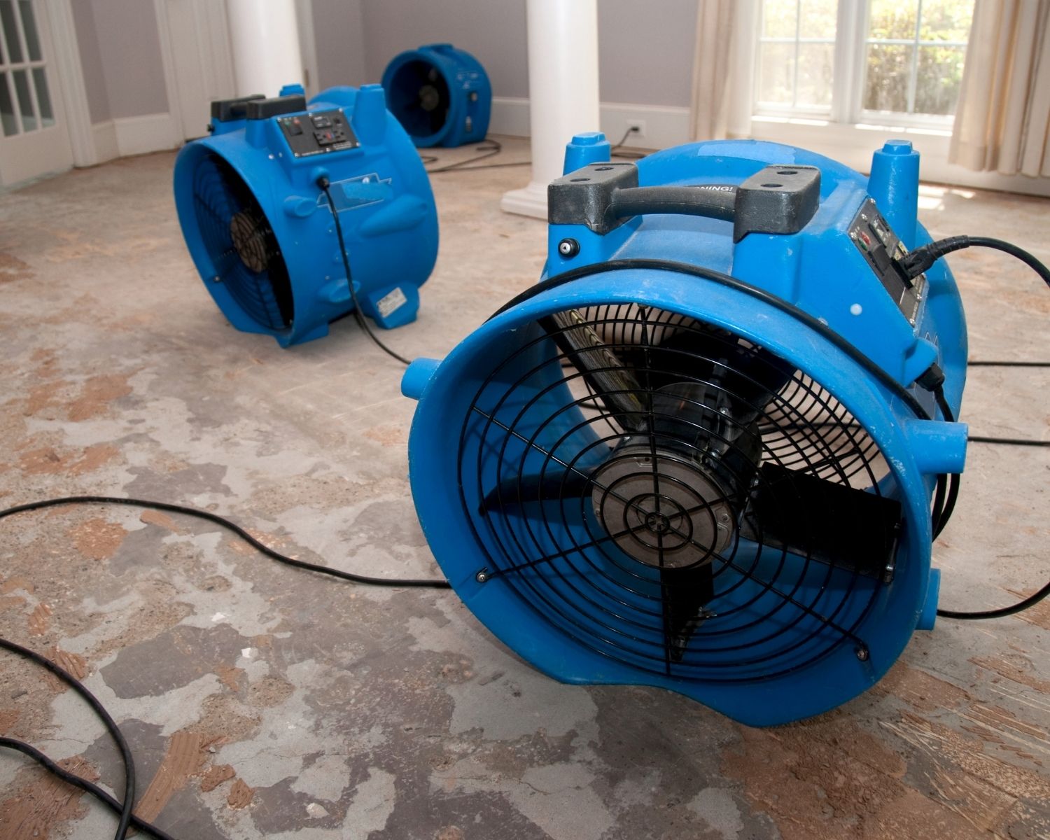 Water damage restoration equipment in Bellevue home