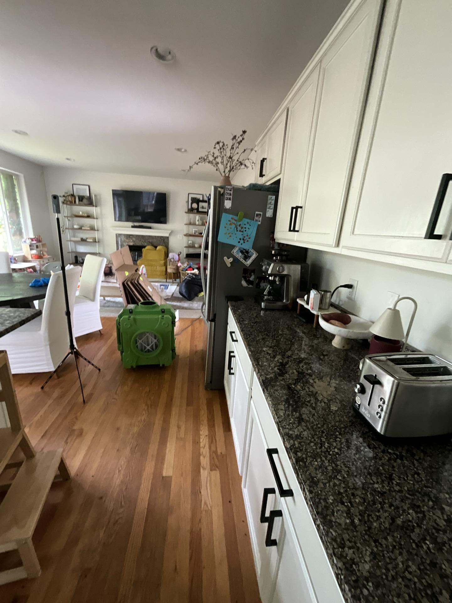 Fire damage mitigation process