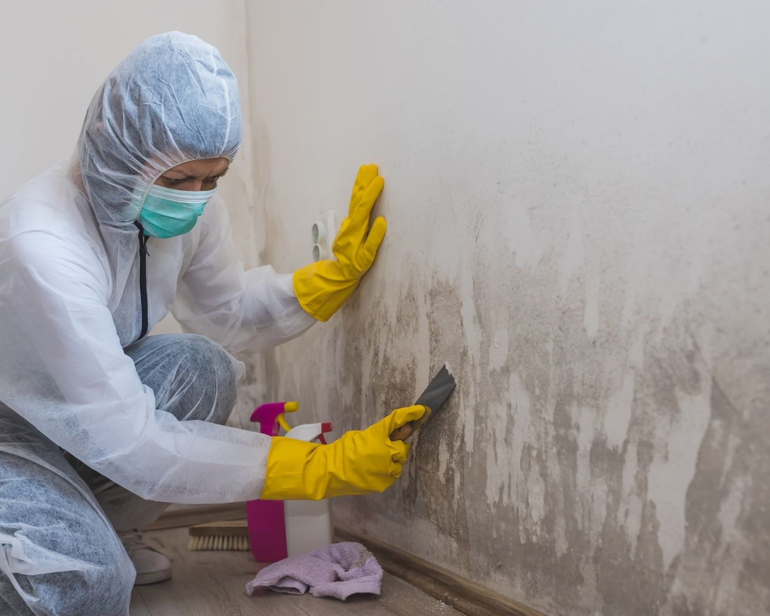 Professional mold remediation after flooding