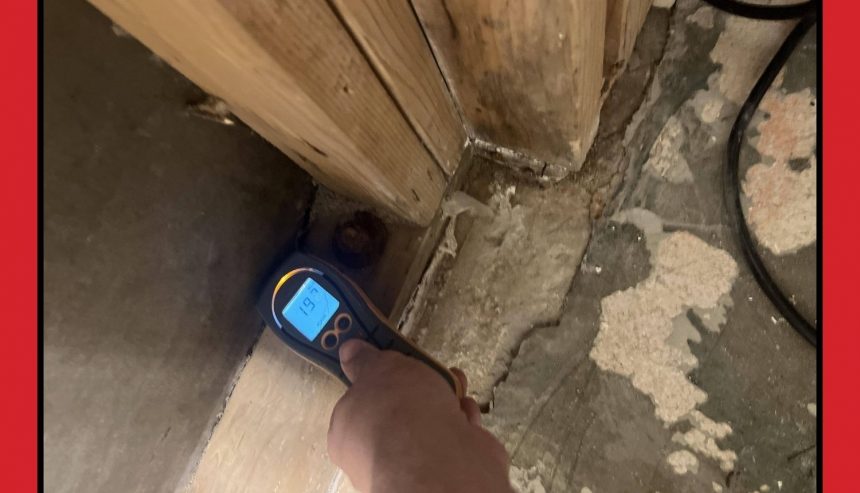 Top 7 Water Damage Mistakes Redmond Property Owners Make