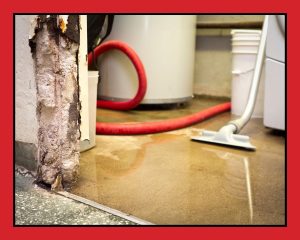 Water Heater Leak Cleanup Guide for Homeowners