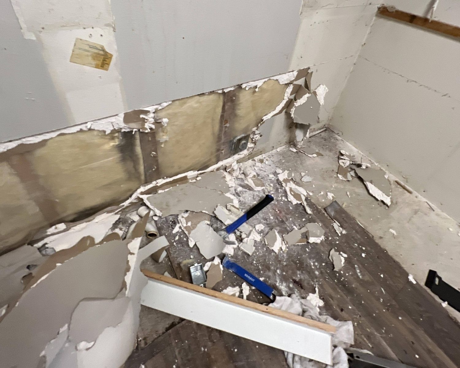 Water damage restoration professional inspecting affected area