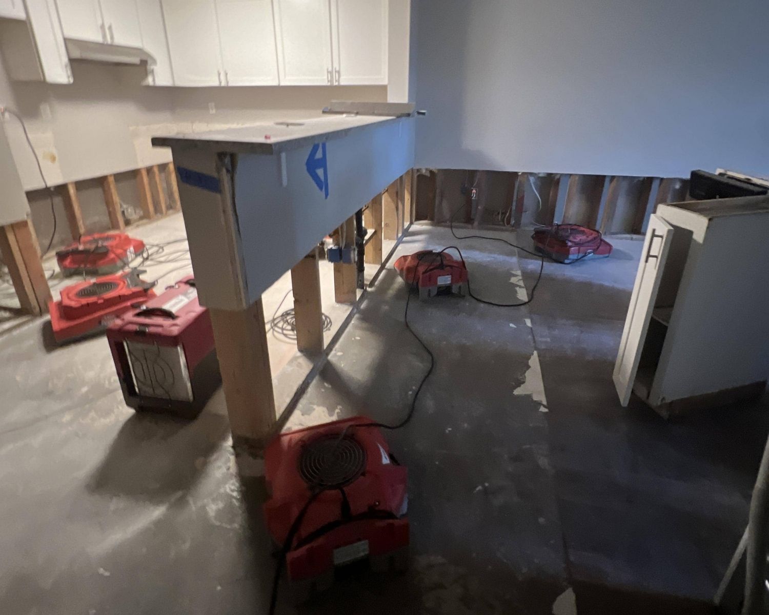 Professional water damage inspection and mitigation equipment