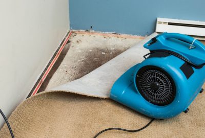 How Long Does Water Damage Restoration Take in Washington - Featured