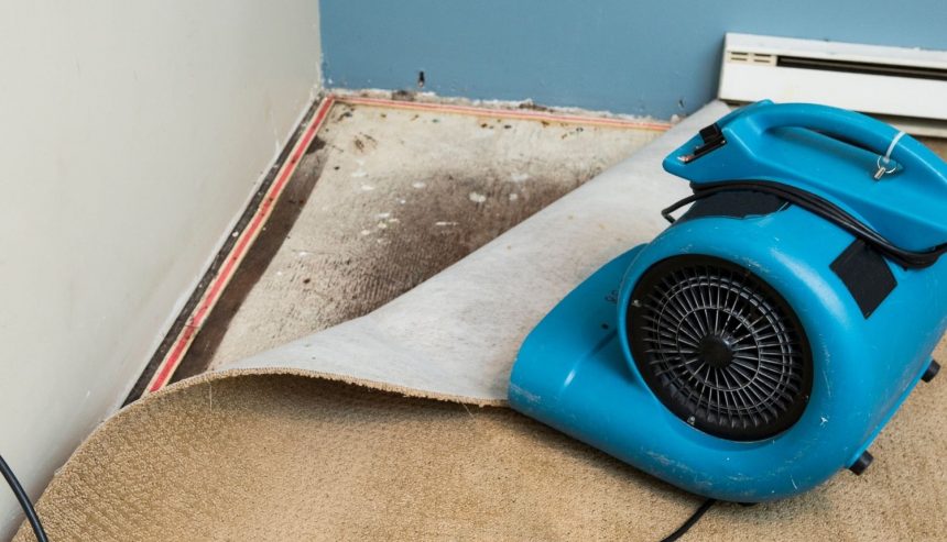 How Long Does Water Damage Restoration Take in Washington - Featured