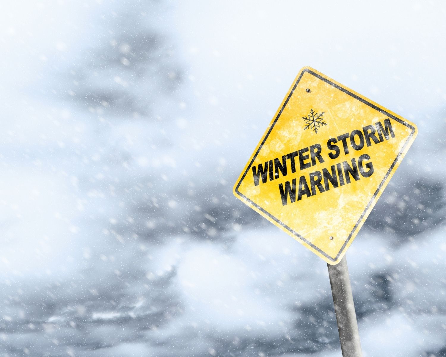 Winter Storm Water Damage Prevention for Woodinville Residents