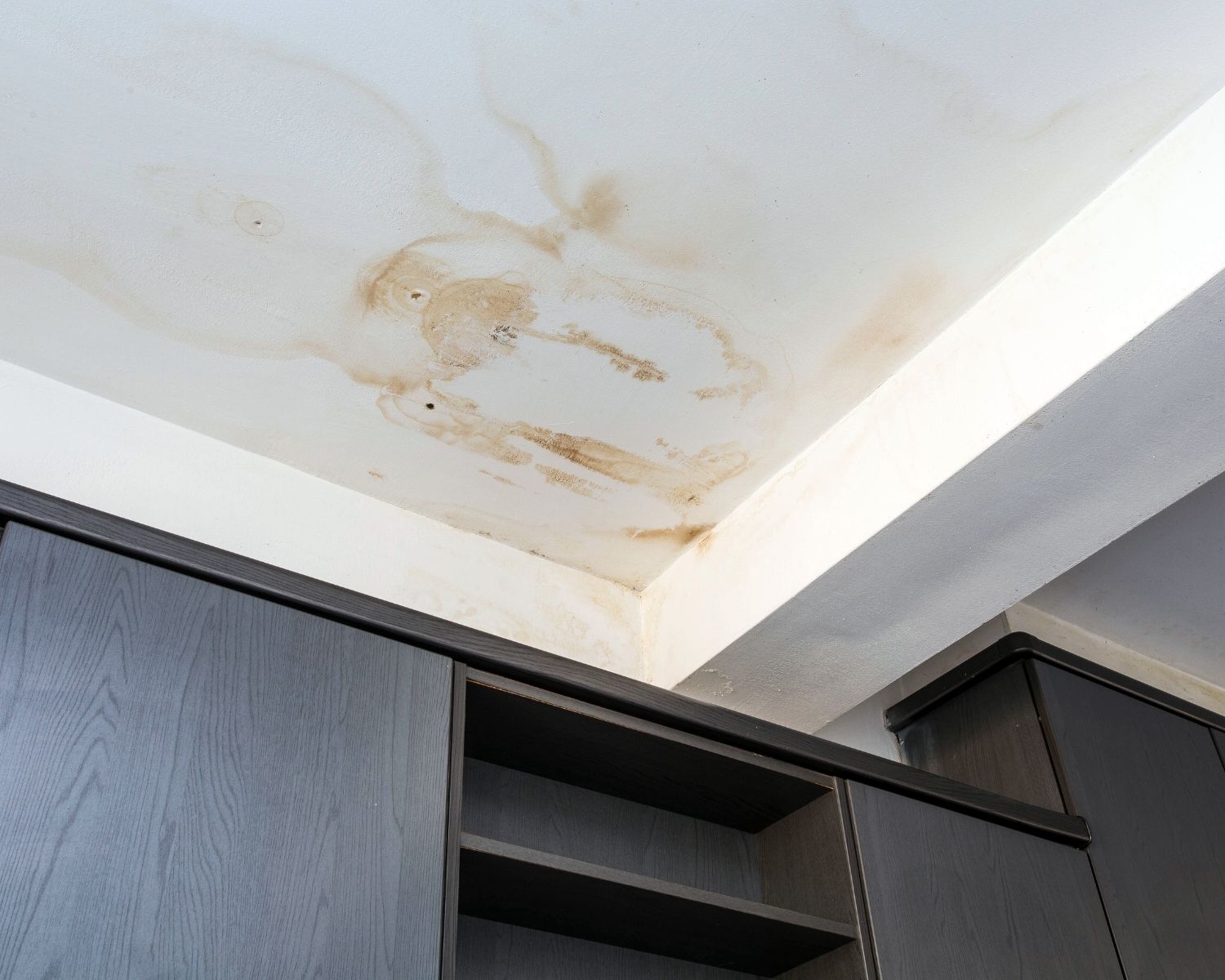 Ceiling water stains from a winter roof leak showing damage pattern