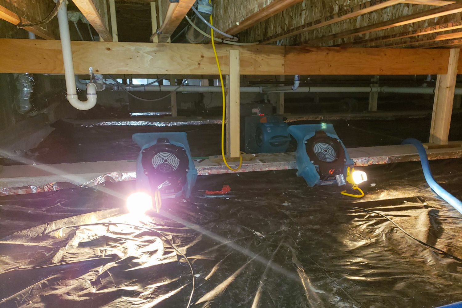 Professional crawlspace inspection showing moisture assessment