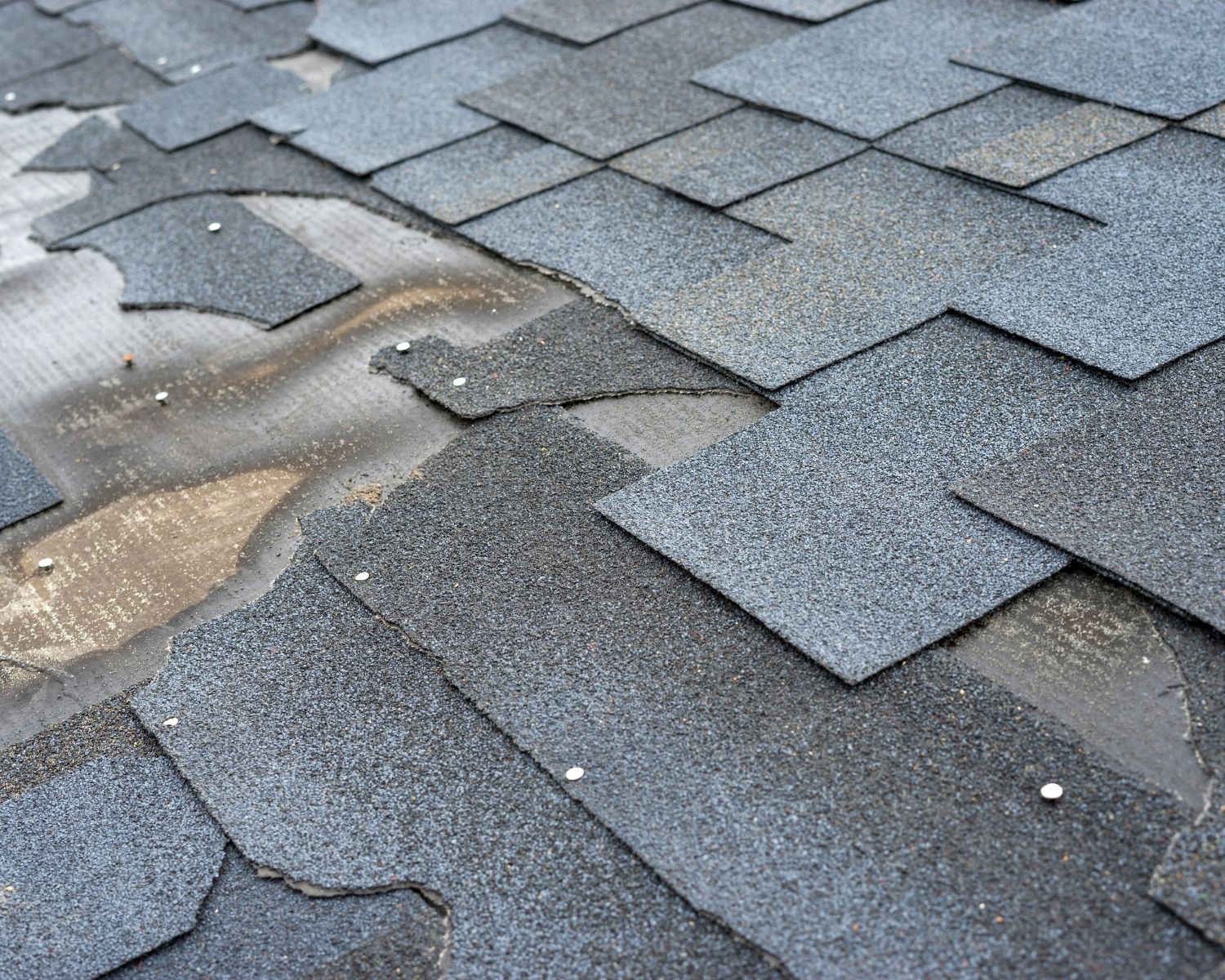 Damaged roof shingles caused by ice dam formation