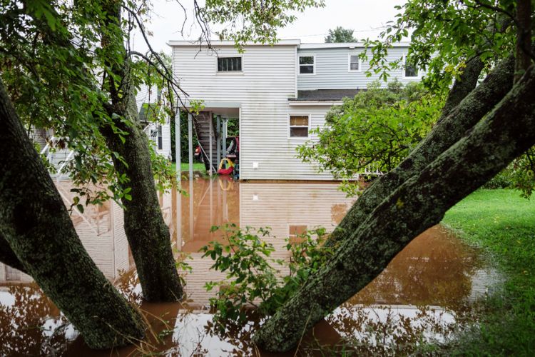 Flood damage in a residential backyard showing standing water and property impact