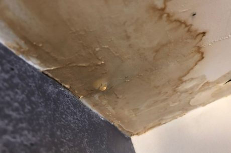 How to Document Water Damage for Insurance Claims