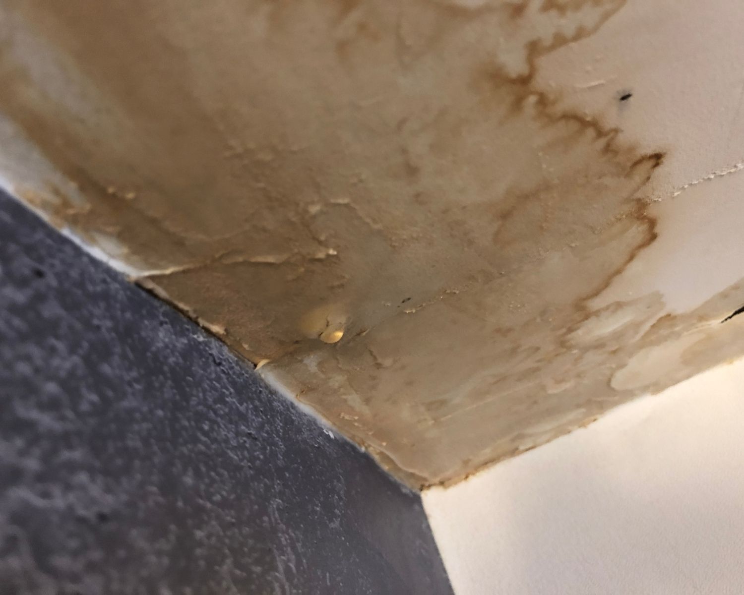 How to Document Water Damage for Insurance Claims