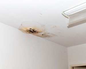 Ceiling water damage with a dark stain and a hole in drywall from an active leak.