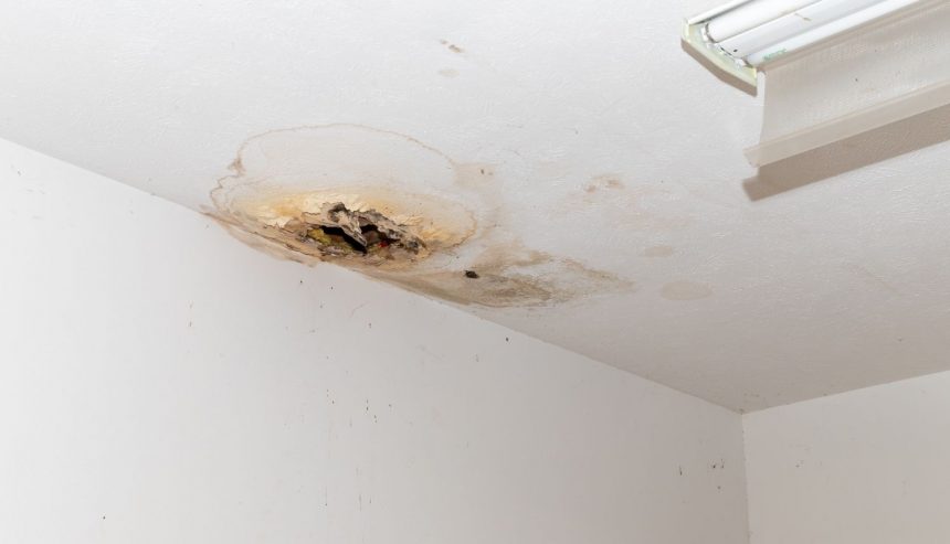 Ceiling water damage with a dark stain and a hole in drywall from an active leak.