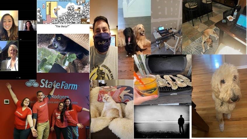 Photo-contest