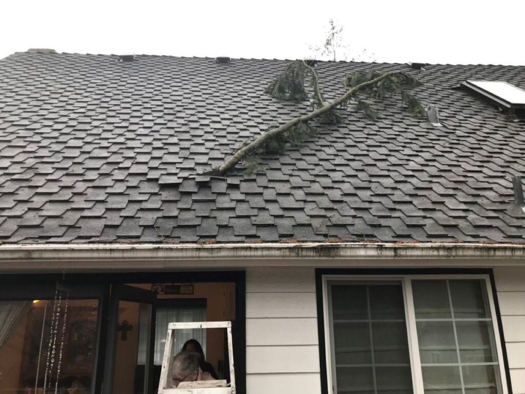 The elements can create significant destruction to residential and commercial properties. Fire, water, and even mold can compromise the structural integrity of your home or business, ruin personal belongings, and lead to other issues that can make a property uninhabitable.