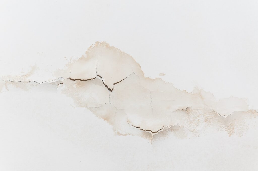 effects of water damage