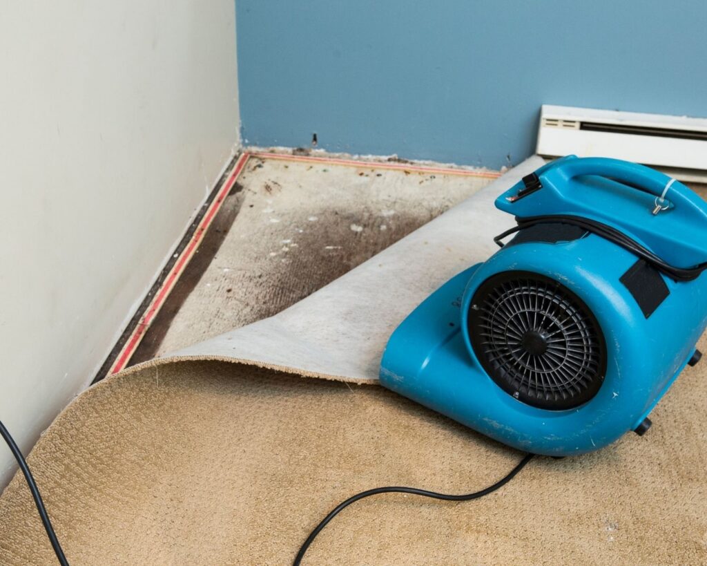 How Long Does Water Damage Restoration Take in Washington - Featured