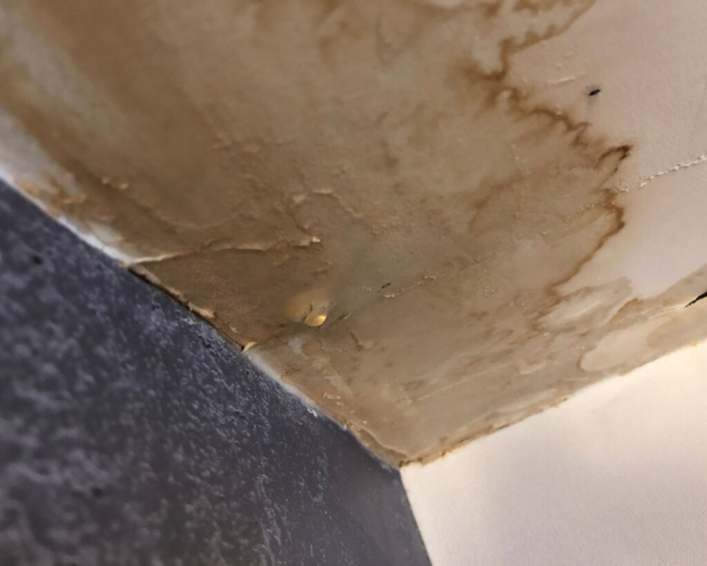 How to Document Water Damage for Insurance Claims