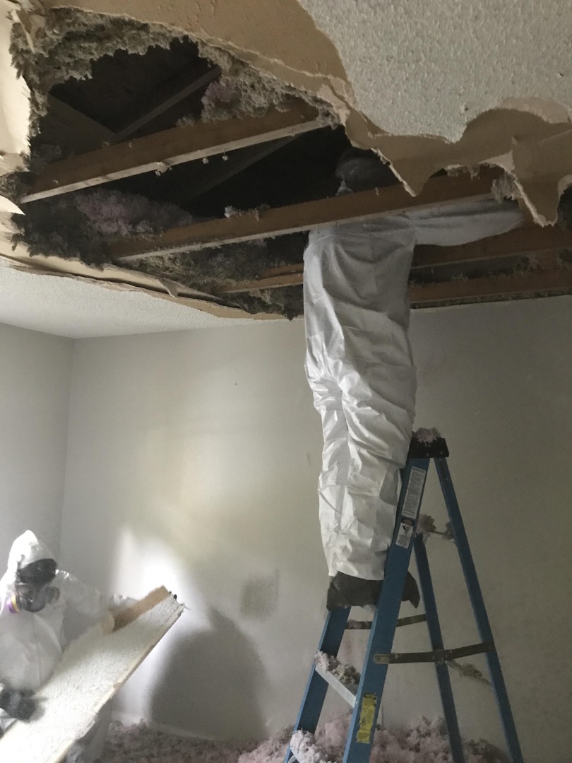 Two PuroClean technicians removing fire-damaged ceiling panels in a Woodinville WA home