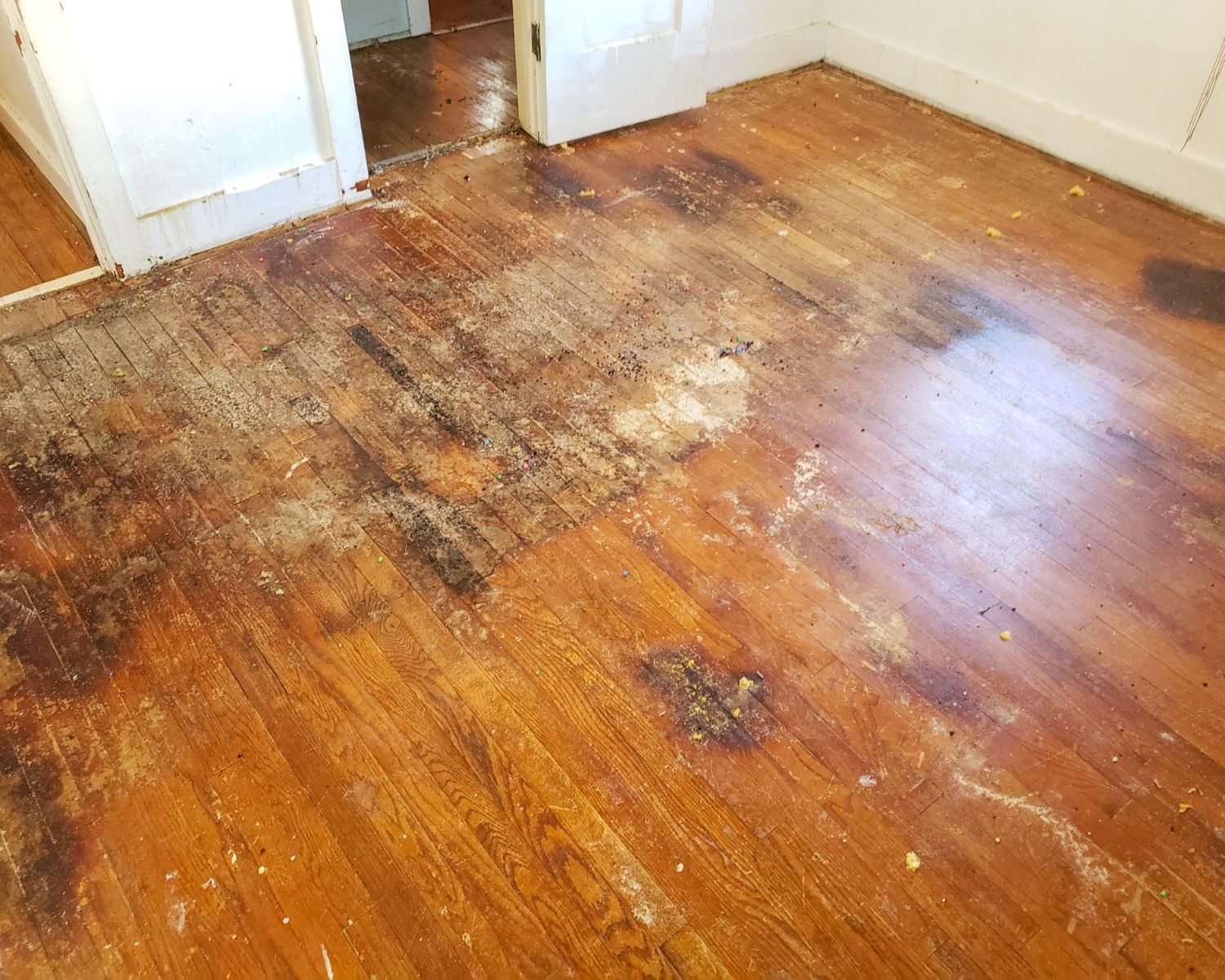 Dark water stains and discoloration spread across a hardwood floor in a Redmond WA home