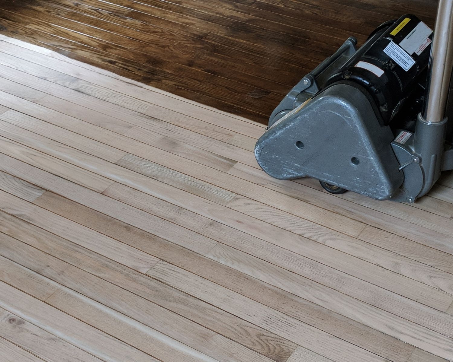 Drum sander stripping dark finish from hardwood and exposing bare wood planks