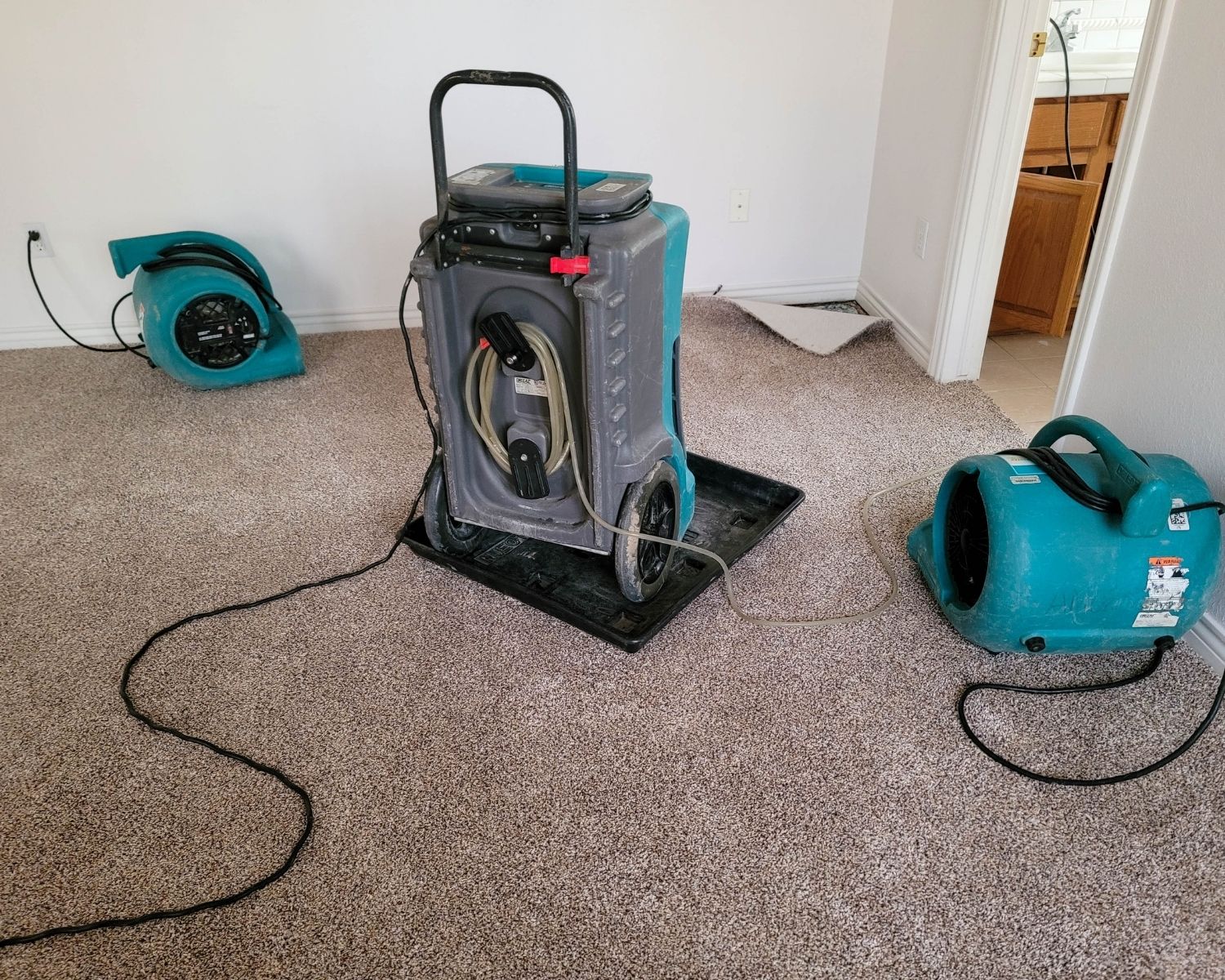 Commercial dehumidifier and two air movers running on damp carpet during structural drying