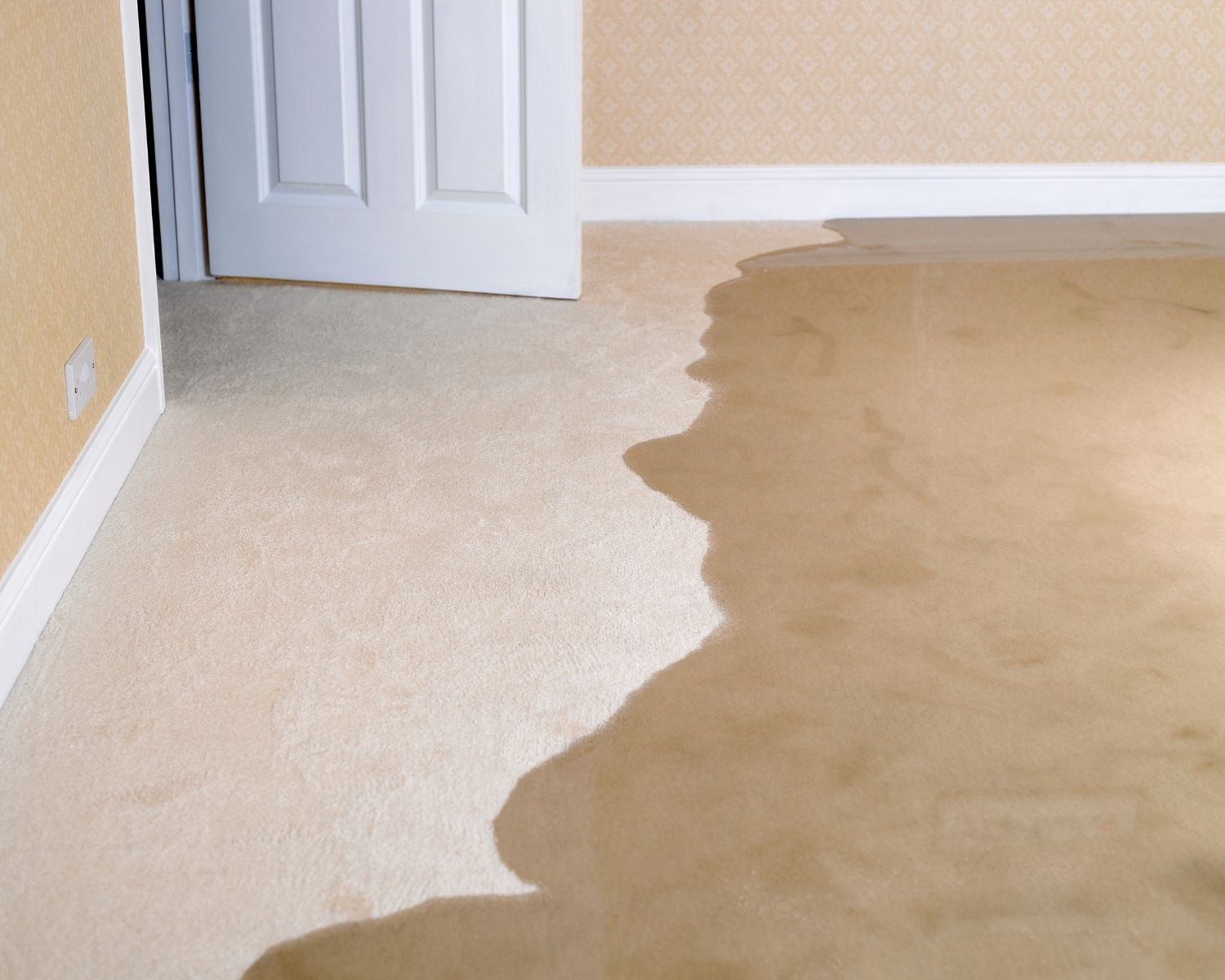Water soaking into carpet and up a baseboard in a residential living room during the first hours of a water leak