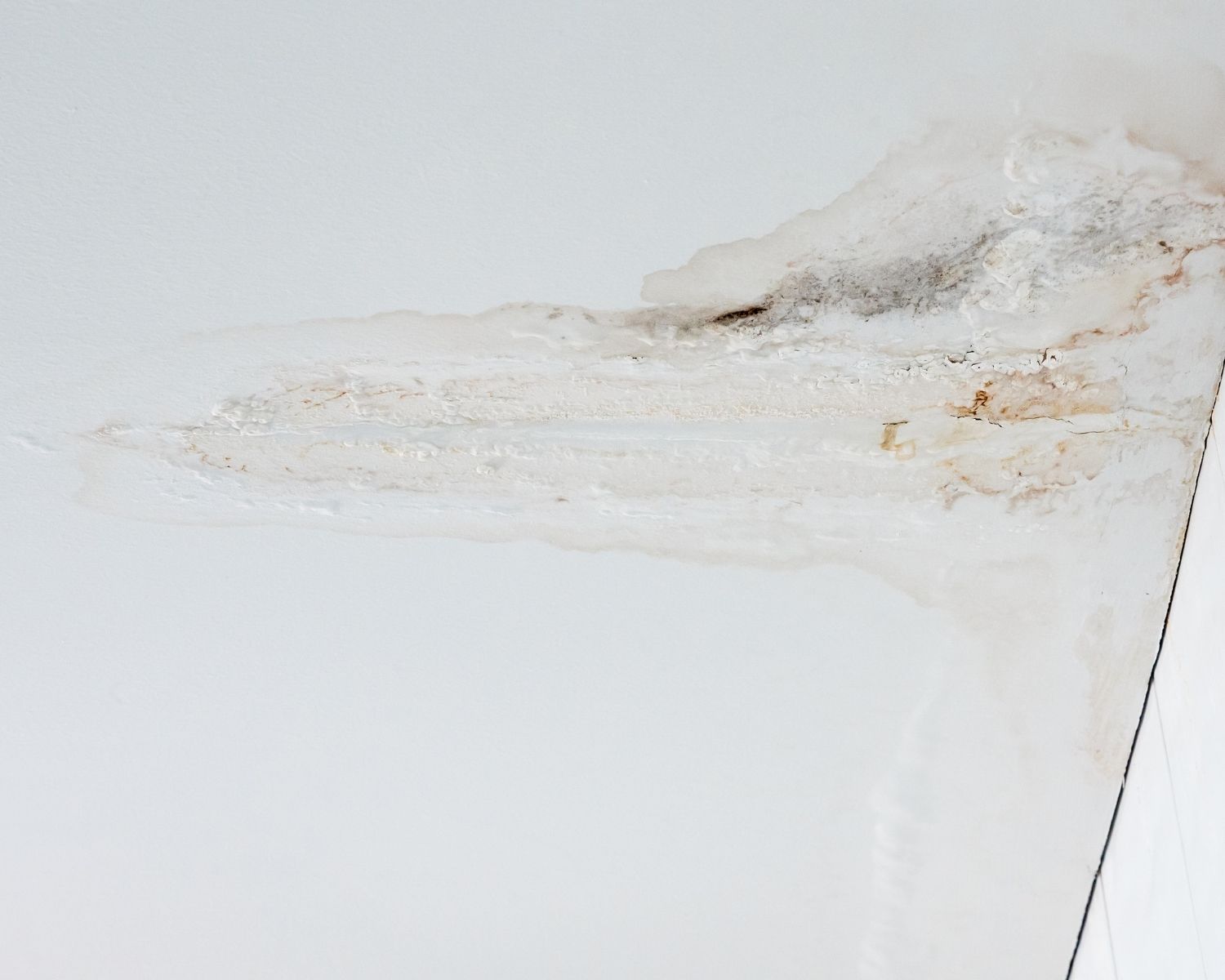 Brown water stain spreading across a white ceiling from a leak overhead