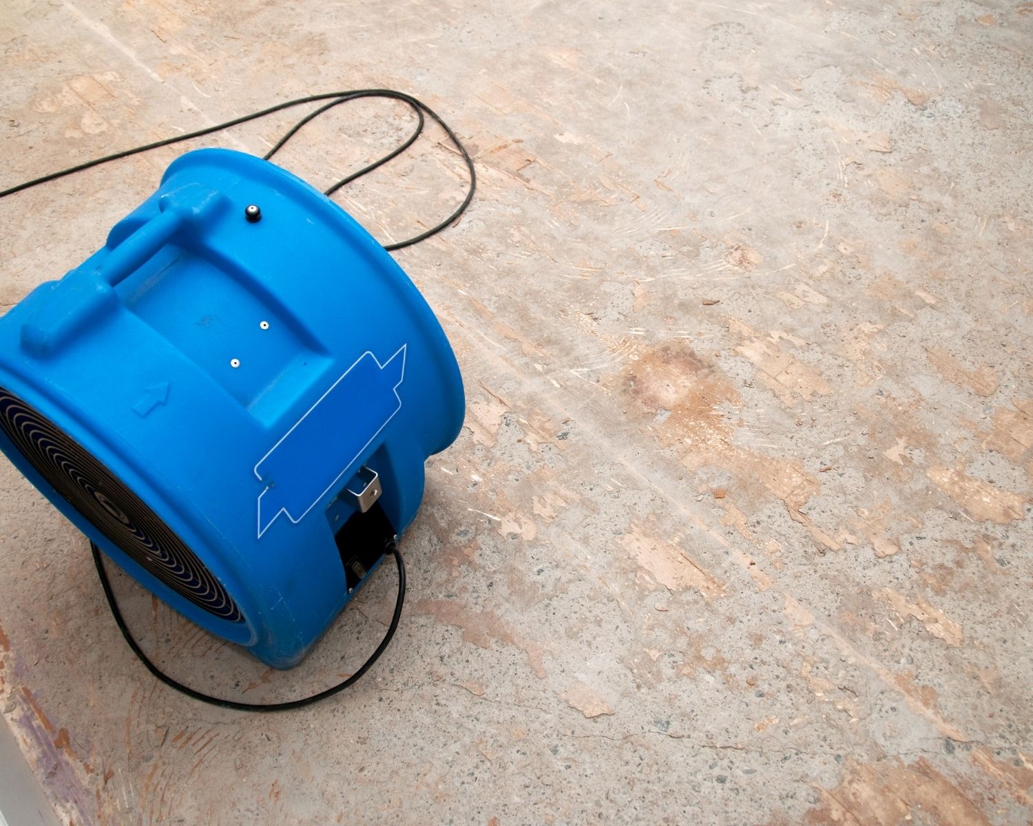 Single blue air mover angled across a bare subfloor with the airflow direction arrow visible on the housing