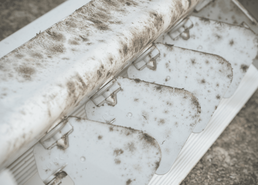 how to get rid of mold in air ducts