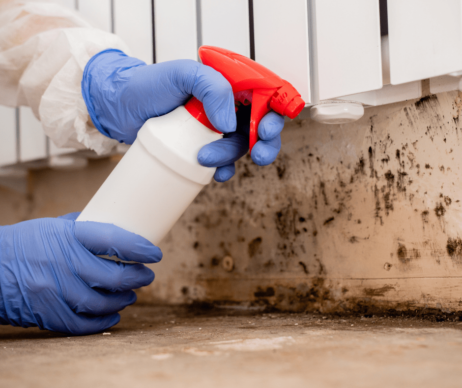 Treating mold in closet.