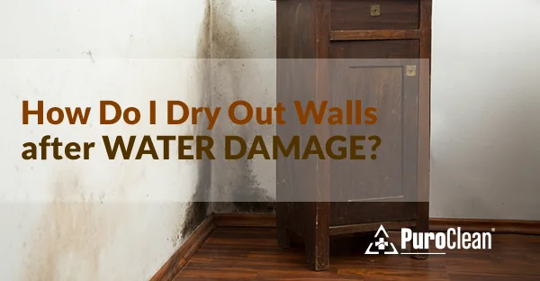 How To Dry Wet Walls After Water Damage A Diy Guide